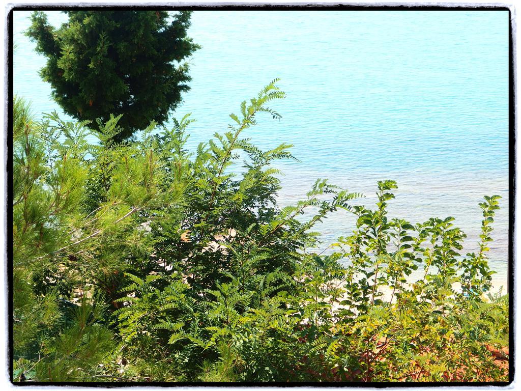 Studios Thanasis Limenaria  Exterior photo